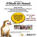 Resgate de cães abandonados é tema de conversa do projeto "O Direito dos Animais" nesta segunda-feira (14)