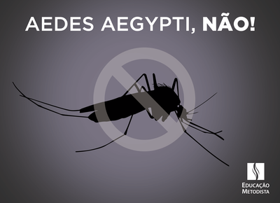 IPA entra na luta contra o mosquito Aedes aegypti